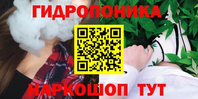 ГАЛЛЮЦИНОГЕННЫЕ ГРИБЫ Гусь-Хрустальный