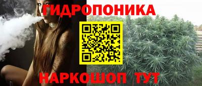 ГАЛЛЮЦИНОГЕННЫЕ ГРИБЫ Гусь-Хрустальный
