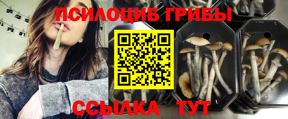 Псилоцибиновые грибы мухоморы Междуреченск