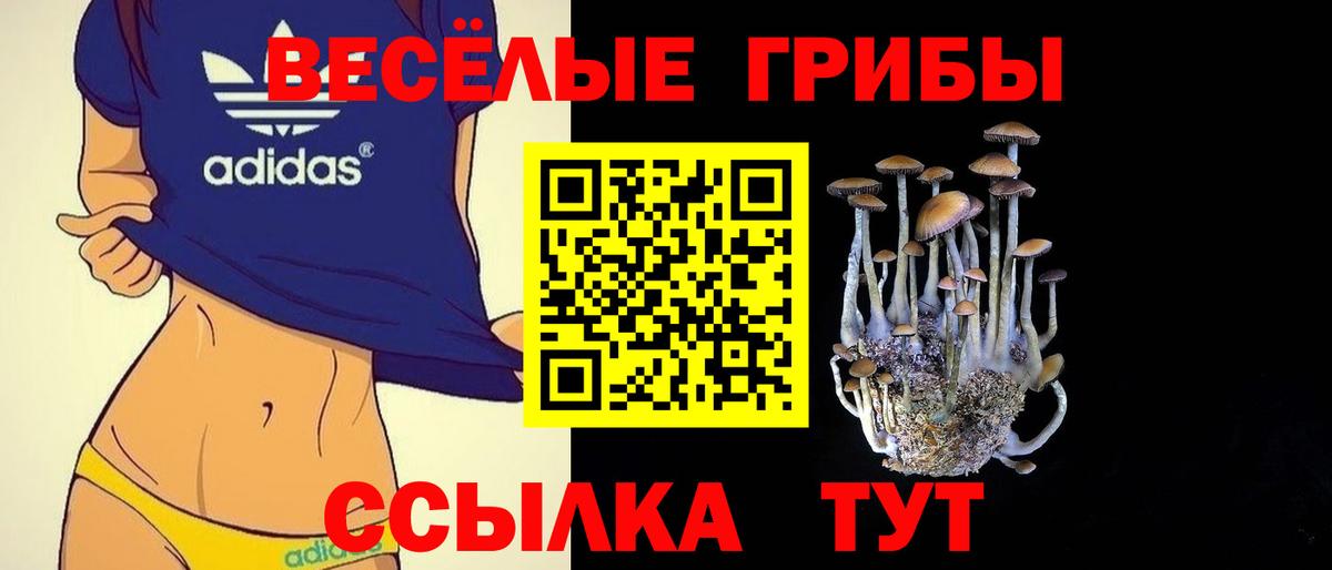 закладка  Псилоцибиновые грибы GOLDEN TEACHER  Псилоцибиновые грибы ЛСД  Вход с VPN  Междуреченск 
